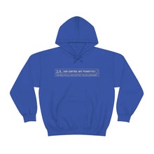 Load image into Gallery viewer, 2A RATED Unisex Hoodie
