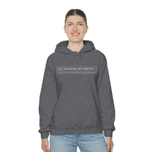 Load image into Gallery viewer, 2A RATED Unisex Hoodie
